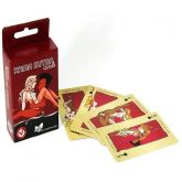 Baralho Kama Sutra Cards Ilustrado com 52 Posições